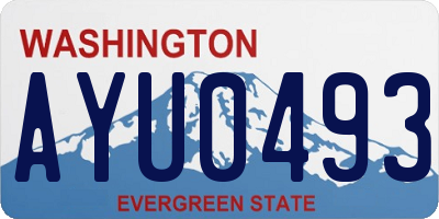 WA license plate AYU0493