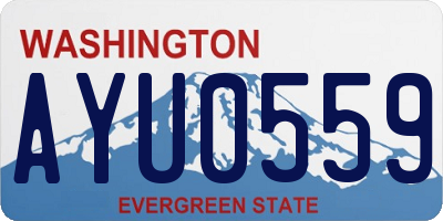 WA license plate AYU0559