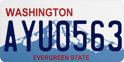 WA license plate AYU0563