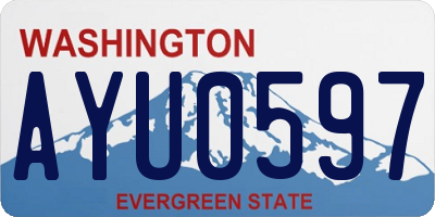 WA license plate AYU0597
