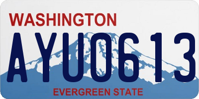 WA license plate AYU0613