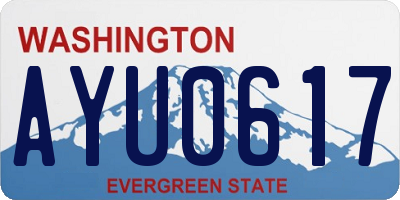 WA license plate AYU0617