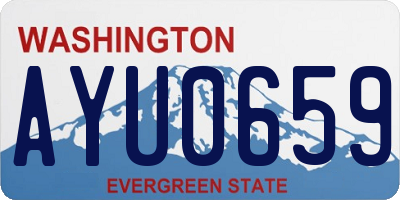 WA license plate AYU0659