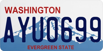 WA license plate AYU0699
