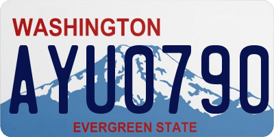 WA license plate AYU0790