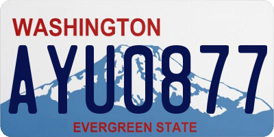 WA license plate AYU0877