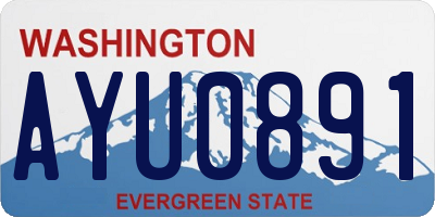 WA license plate AYU0891