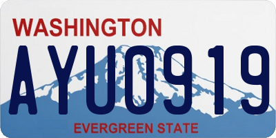 WA license plate AYU0919