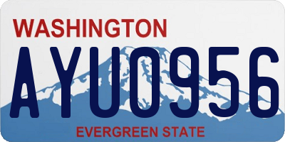 WA license plate AYU0956