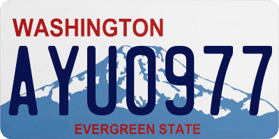 WA license plate AYU0977