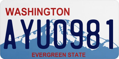 WA license plate AYU0981