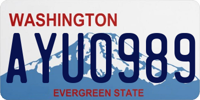 WA license plate AYU0989