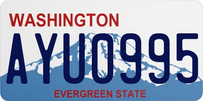 WA license plate AYU0995