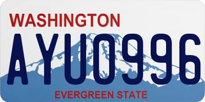 WA license plate AYU0996