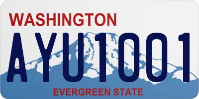 WA license plate AYU1001