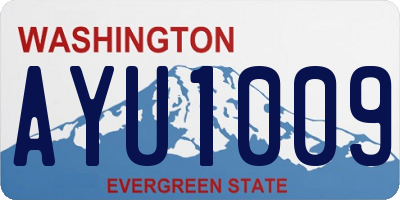 WA license plate AYU1009