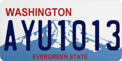 WA license plate AYU1013