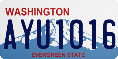 WA license plate AYU1016