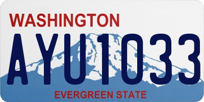 WA license plate AYU1033