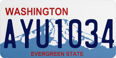 WA license plate AYU1034