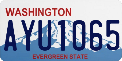 WA license plate AYU1065
