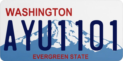 WA license plate AYU1101