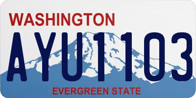 WA license plate AYU1103