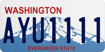 WA license plate AYU1111