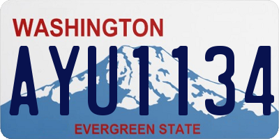 WA license plate AYU1134
