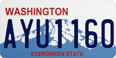 WA license plate AYU1160