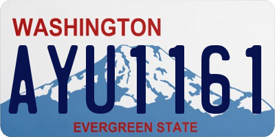 WA license plate AYU1161