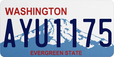 WA license plate AYU1175