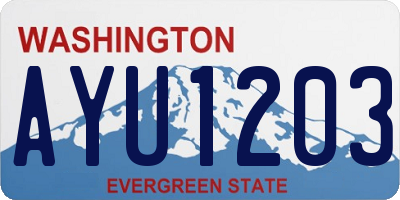 WA license plate AYU1203