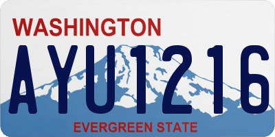 WA license plate AYU1216