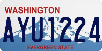 WA license plate AYU1224