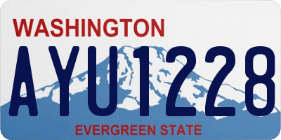 WA license plate AYU1228