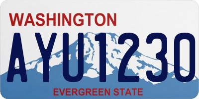 WA license plate AYU1230