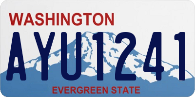 WA license plate AYU1241