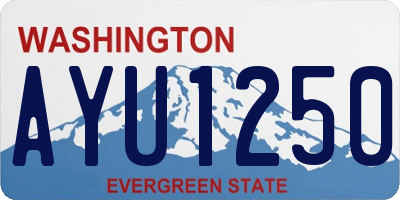 WA license plate AYU1250