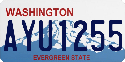WA license plate AYU1255