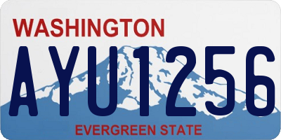 WA license plate AYU1256