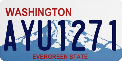 WA license plate AYU1271