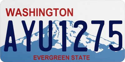 WA license plate AYU1275