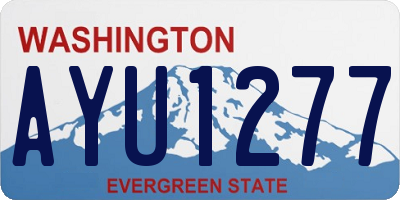 WA license plate AYU1277