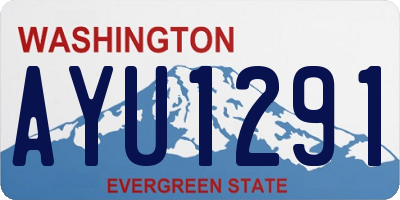 WA license plate AYU1291