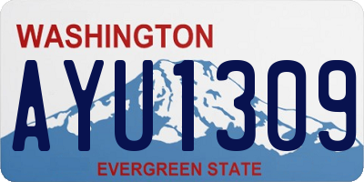 WA license plate AYU1309