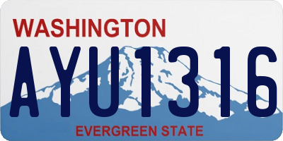 WA license plate AYU1316