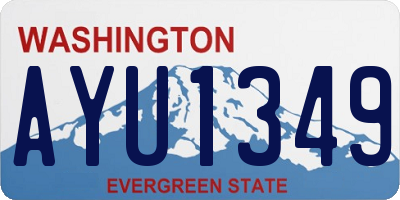 WA license plate AYU1349