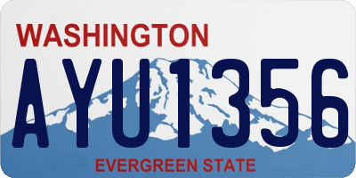 WA license plate AYU1356