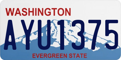 WA license plate AYU1375